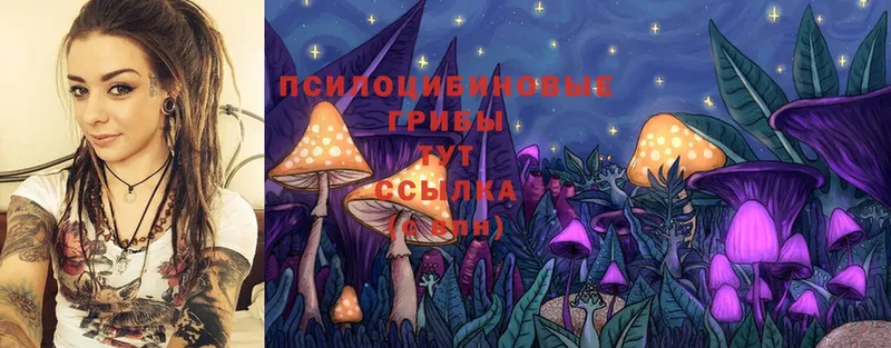 наркошоп  Нефтеюганск  ссылка на мегу ТОР  Галлюциногенные грибы Cubensis 